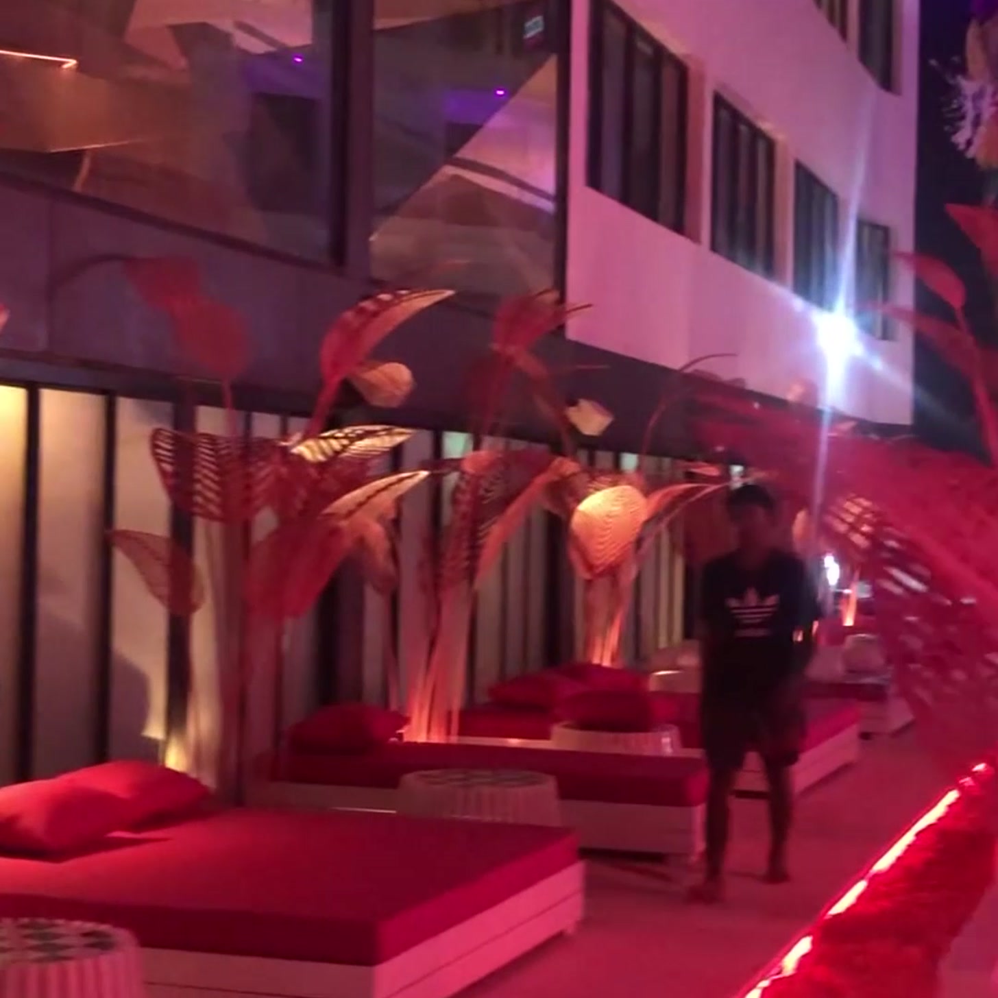 Pink palm installation and lounge detail at Socialtel beach club
